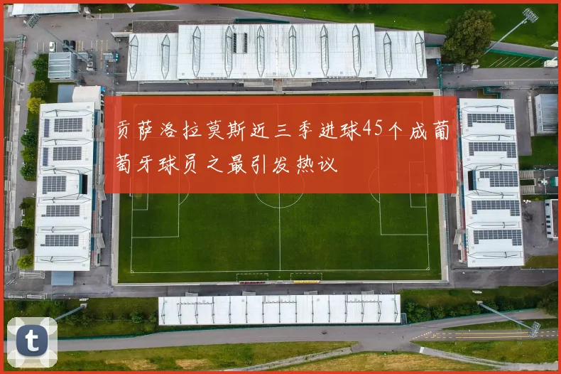 贡萨洛拉莫斯近三季进球45个成葡萄牙球员之最引发热议